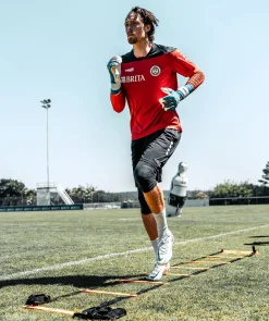 Échelle de coordination